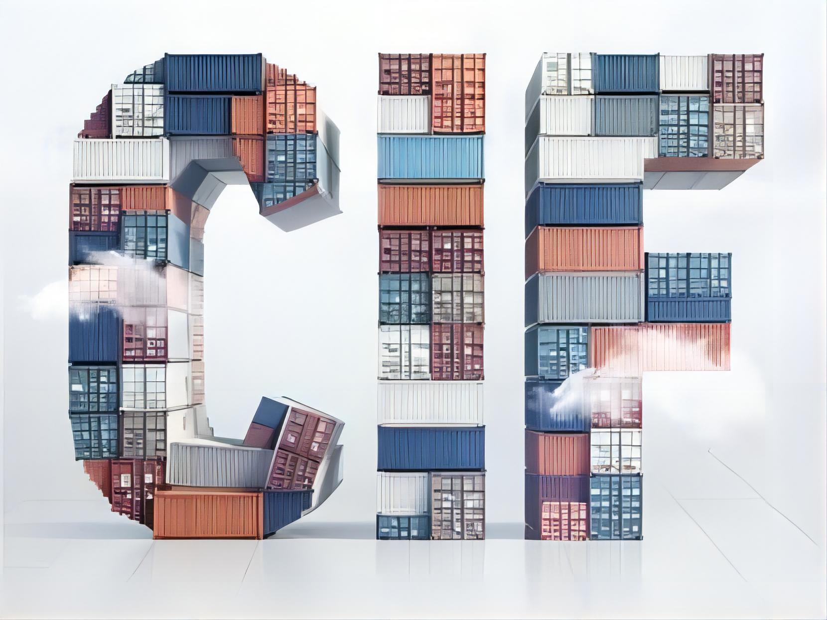 Logistics professional managing international shipments