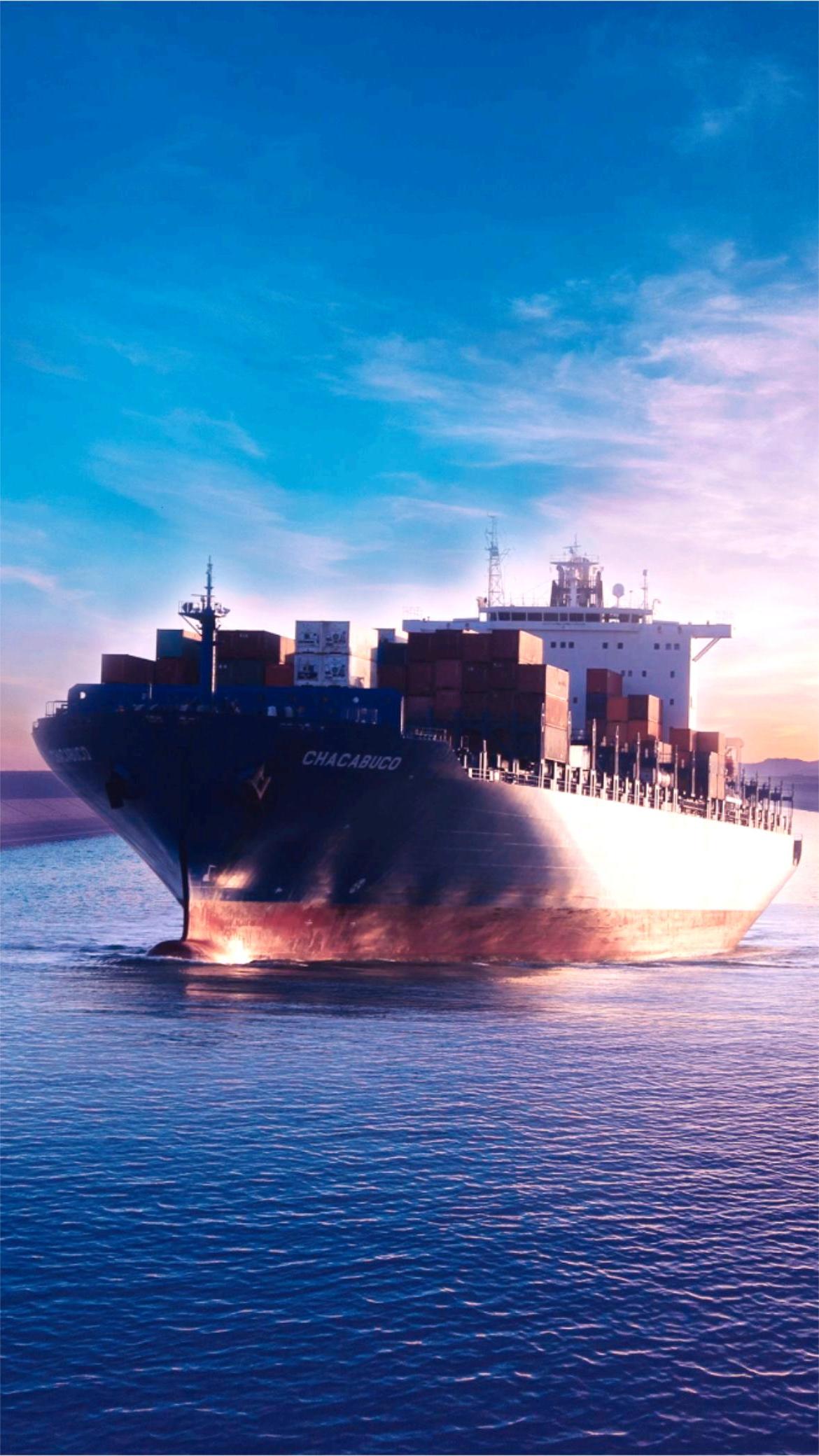 Logistics professional managing container shipments in China