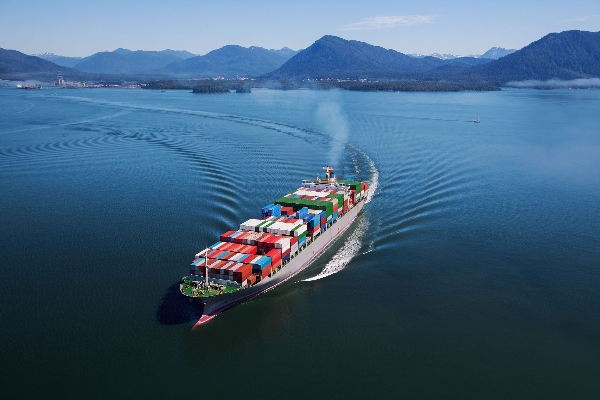 Logistics professional managing customs documentation