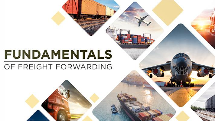 container shipping china to UAE