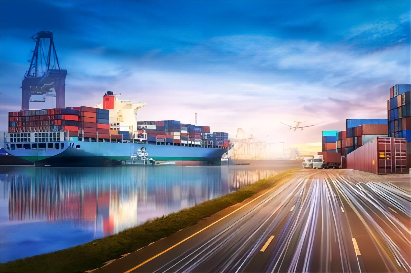 import customs consulting service
